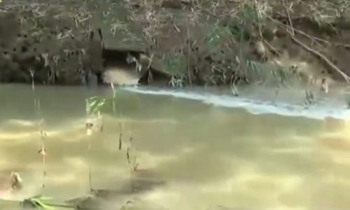 Ketua Komnaspan Desak Dewan Usut Pencemaran Lingkungan Oleh PT Pajar Papaer