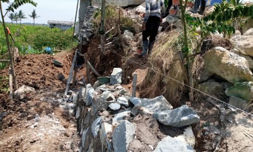 Proyek Pembangunan TPT DI Desa Pantai harapan Jaya Di Duga tidak Maksimal.