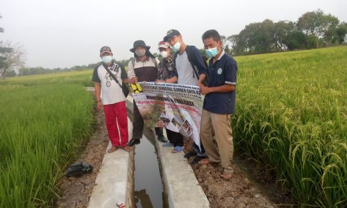 PROGRAM P3-TGAI DI SAMBUT BAIK PARA PETANI DI DESA JAYALAKSANA