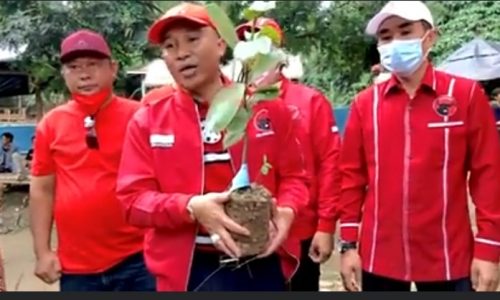 Ketua DPC PDI Perjuangan Lampung Barat Tanam Pohon Di Obyek Wisata Sekaligus Pringati Hari Lahir Bung Karno