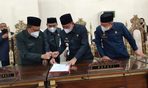 Bupati Wajo Komitmen Kawal dan Perjuangkan Nasib Honorer K2.
