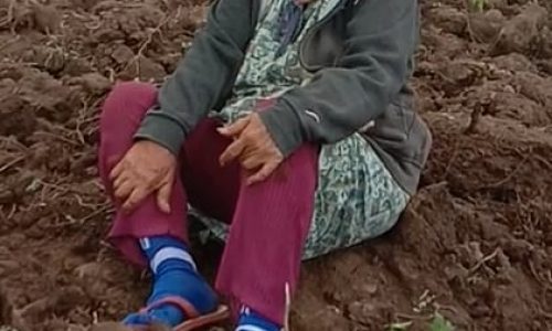 Joudi Watung, SH Dan Rekan Operatornya Dilaporkan Ke POLDA Sulut Oleh Lansia 71 Tahun Atas Dugaan Pengrusakan Tanaman Jagungnya.
