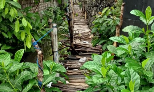 Jalan Tertutup, Hak Hidup Melayang