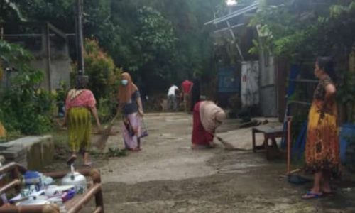 Disdamkar Akui Perlu Keahlian Khusus Tangani Fenomena Ular Kobra Masuk Rumah