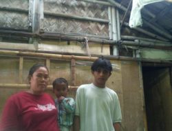 Tempat Tinggal Rumah Tak Layak Huni Janda Dua Anak Warga Desa Tanjung Burung
