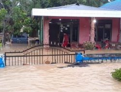 865 Unit Rumah Terendam Banjir di Kabupaten Toli-toli