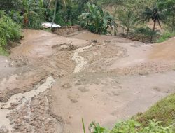 Tanah Longsor di Cilacap Telan 18 Hewan Ternak, Jalan Desa Lumpuh Total