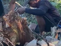 PENYIDIK POLRES WAJO LIMPAHKAN TERSANGKA DAN BB KASUS PENGERUSAKAN. “ PELAPOR H.AGUSTAN BERTERIMA KASIH DAN MEMBERIKAN APRESIASI”.