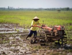 Kementan : Antisipasi Lonjakan Kebutuhan Stok Pangan Saat Ramadhan di Kuningan