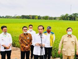 Food Estate Solusi Ketahanan Pangan dan Kesejahteraan Masyarakat Indonesia