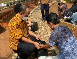 Penggiat Urban Farming Disosialisasikan Media Tanam Cocopeat