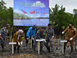 Hari Mangrove Sedunia, Lanal Sibolga Laksanakan Penanaman Mangrove Serentak
