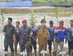TNI AL Lanal Lhokseumawe Tanam 5.000 Bibit Mangrove Bersama Forkopimda dan Masyarakat Maritim