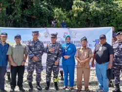 Selamatkan Pantai Dari Abrasi, Lanal Tarempa Tanam Seribu Mangrove