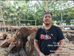 Jual Hewan Sapi Qurban Jelang Idul Adha Harga Terbaik dan Termurah di Jakarta Timur