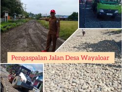 Pemdes dan Masyarakat Wayaloar Ucapkan Terimakasih Kepada Bupati Bassam Kasuba Atas Pengaspalan Jalan 4 KM