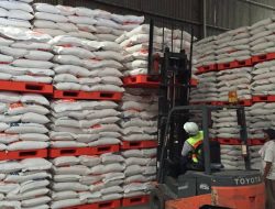 Serapan Membludak, Begini Cara BULOG Jaga Kualitas Beras di Gudang