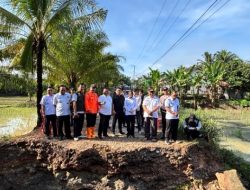 Plt Bupati Way Kanan Tinjau Gorong – Gorong Ambruk Di Kampung Tanjung Dalam