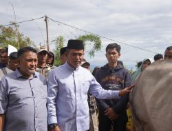 Penyembihan Hewan Kurban dari Presiden RI di saksikan langsung oleh Bupati Solok