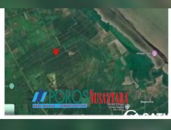 DPP TOPAN RI Soroti Ribuan Hektare Kebun Sawit di Kawasan Hutan: Desak Satgas PKH Turun Tangan