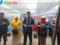 Mensukseskan ketahanan pangan kab Solok melaksanakan gerakan menanam cabe.