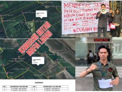 Berlin Kuat, Satgas PKH Jalan Ditempat! 924 Hektare Kebun Sawit Milik Berlin di Sungai Daun Masuk Kawasan Hutan Tidak Ditindak