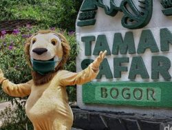 Taman Safari Diduga Langgar Zonasi dan Rusak Kawasan Konservasi Puncak.