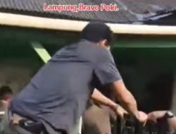 Polisi Berhasil Tangkap Pelaku Pembunuhan Sopir Trevel Di Kotabaru