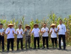 Ketahanan Pangan Jadi Prioritas, Lapas Way Kanan Gelar Panen Raya Jagung, DPRD Siap Bantu Atasi Kendala Air