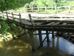 Kondisi Jembatan Penghubung Desa Siaga–Nek Ginap Memprihatinkan Dan Kembali Memakan Korban Siswa SMP Jatuh.