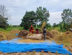 Politik Pangan Berkeadilan: Presisi Kebijakan, Empati Rakyat