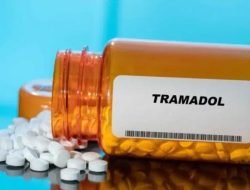 Ketua DPD Aliansi Wartawan Independen Indonesia (AWII) Provinsi Banten, Fadlli Achmads Am turut angkat bicara soal maraknya peredaran obat keras di wilayah Jabodetabek