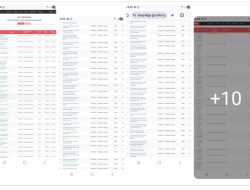 TOPAN RI Ajak KEJATI RIAU Jerat Jejak Mark Up di Proyek Normalisasi Parit Rokan Hilir Tahun 2025 Ini.