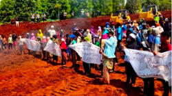 Mongabay Indonesia_2