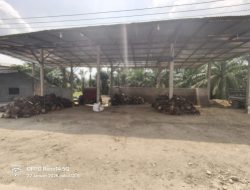 Pemilik Ram Sawit Berikan Klarifikasi Terkait Pemberitaan di Jalan Lintas Pesisir