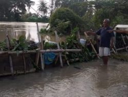 Warga Kampung Beluk Gotong Royong Perbaiki Tanggul Yang Jebol
