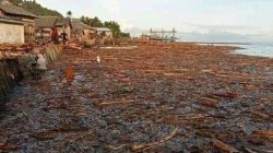 preview_muzydsjn_8z2aqboh