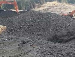 PT Sains Solusi Global Aktifkan Operasional Tambang Batu Bara di Berau, Targetkan Optimalisasi Produksi Februari 2026