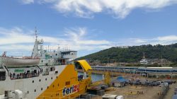 1da21599-c922-49a0-9c64-e7939dcd80db