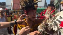 IMG-20260303-WA0190 IMG-20260303-WA0190