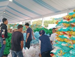 Bulog dan ID FOOD Salurkan 100 Ribu Paket Sembako Gratis di Monas