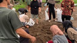 Mahasiswa STKIP Ahlussunnah Turun ke Nagari, Bantu Pemulihan Pascabencana Longsor di Solok