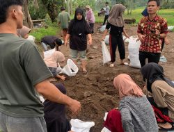 Mahasiswa STKIP Ahlussunnah Turun ke Nagari, Bantu Pemulihan Pascabencana Longsor di Solok