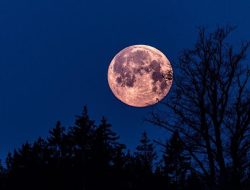 Fenomena Pink Moon Hiasi Langit Malam Ini, Bisa Disaksikan di Seluruh Indonesia