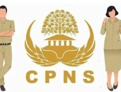 CPNS 2026 Diperkirakan Dibuka Kuartal III