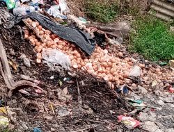 ‎SPPG Jayasakti #006 Dinilai Abaikan Kebersihan, Sampah dan Lalat Ganggu Area Dapur