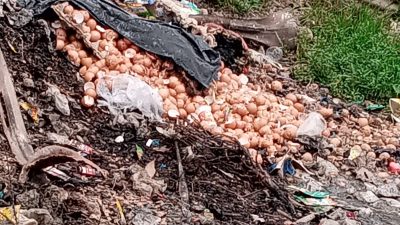 ‎SPPG Jayasakti #006 Dinilai Abaikan Kebersihan, Sampah dan Lalat Ganggu Area Dapur