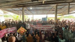 Ratusan Petani Plasma PT Jatim Jaya Perkasa Padati Sosialisasi, Desak Audit Koperasi dan Dukung Perjuangan Tim Revitalisasi