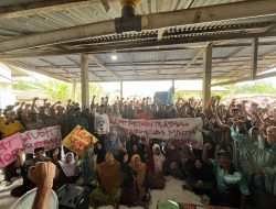 Ratusan Petani Plasma PT Jatim Jaya Perkasa Padati Sosialisasi, Desak Audit Koperasi dan Dukung Perjuangan Tim Revitalisasi