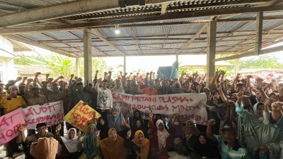 Ratusan Petani Plasma PT Jatim Jaya Perkasa Padati Sosialisasi, Desak Audit Koperasi dan Dukung Perjuangan Tim Revitalisasi